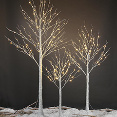 Lighted Tree